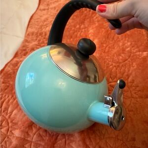Aqua Whistling Tea Kettle with Black Handle